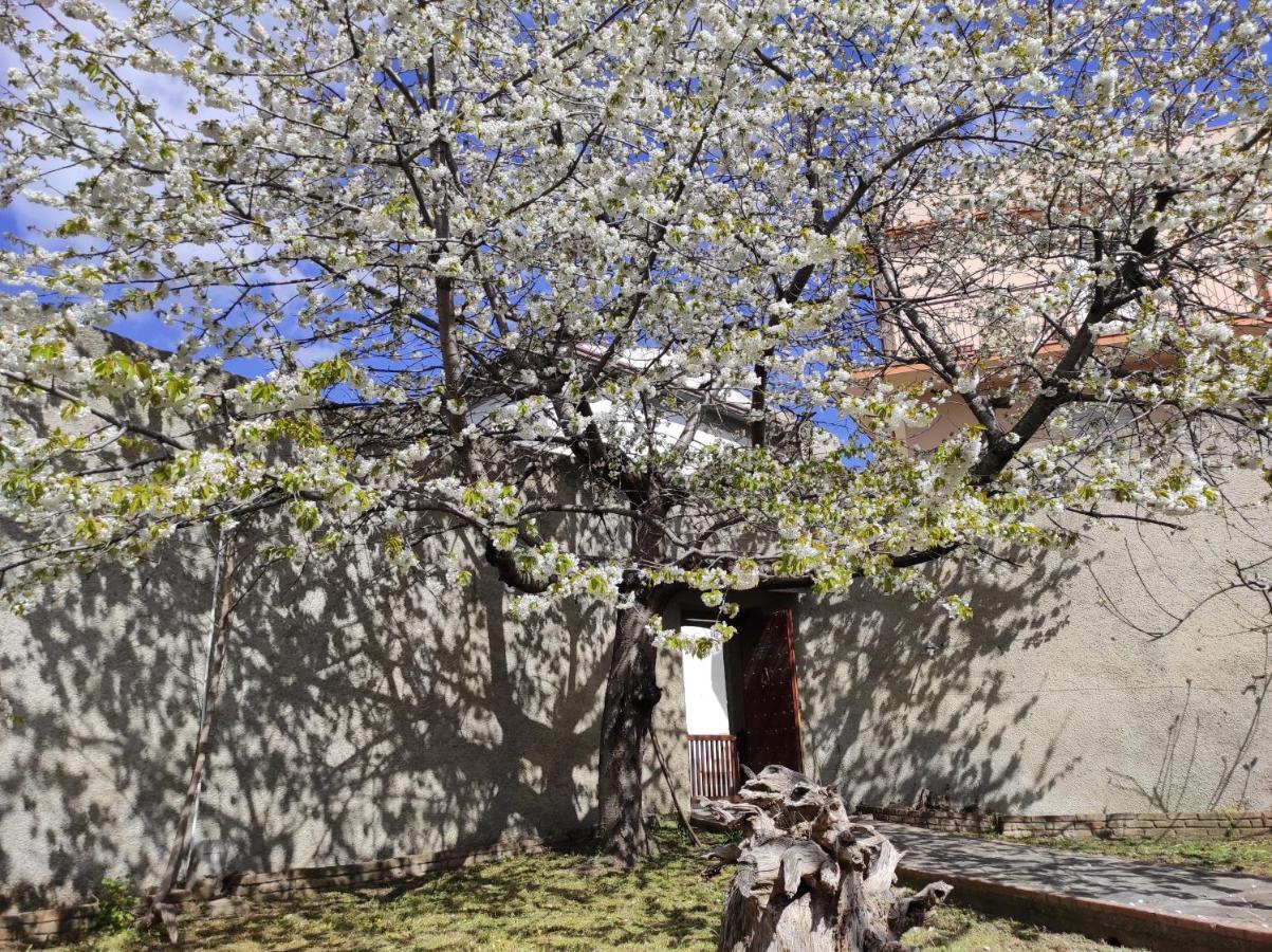 Antica Dimora Palazzo Rovitti Bed & Breakfast Cerchiara di Calabria Luaran gambar